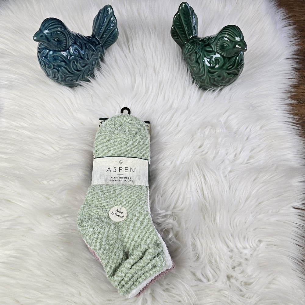 Aspen 4 Pack Aloe Infused Quarter Socks Size 4-10